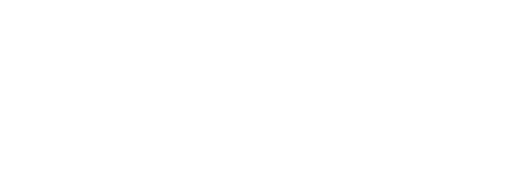 Meta Business Partner
