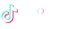 TikTok Shop Partner